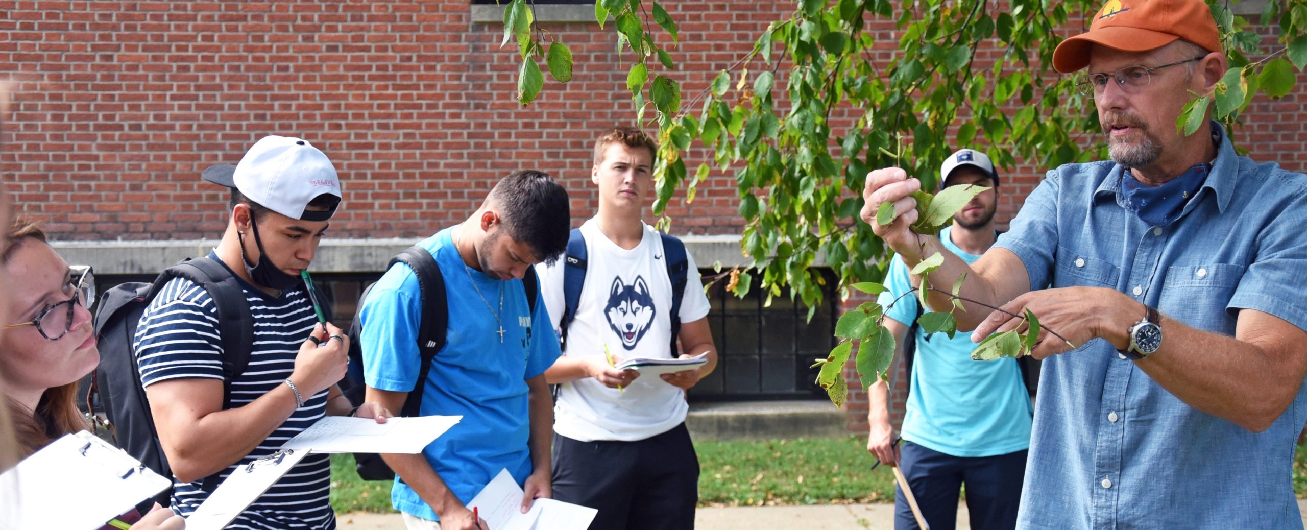 Students identifying woody plants on campus