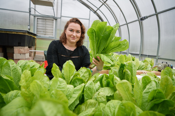 A student in a greenhouse growing lettuce.