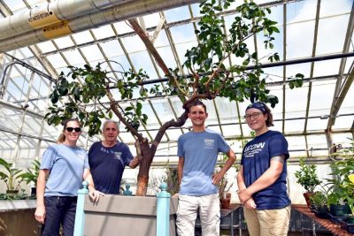 Students & Staff pose with the Orange Tree in its new location.