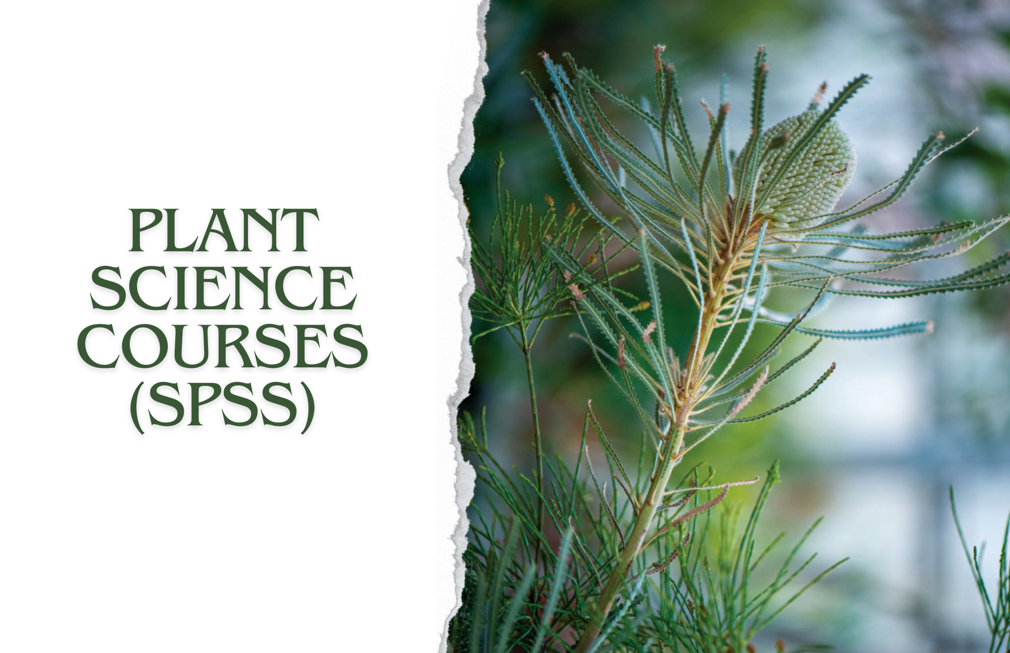 Sustainable Plant & Soil Systems Fall 2024 Courses