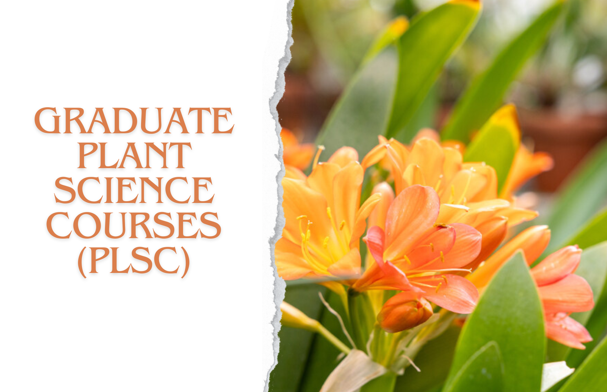 Graduate Plant Science Fall 2024 Courses